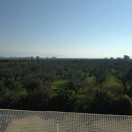 Relaxing&quiet With View *