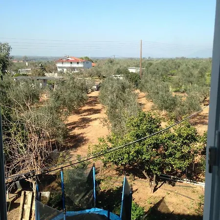 Relaxing And Quiet With View *